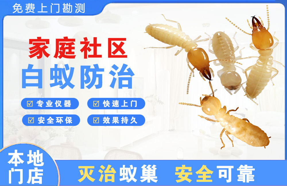 仪征家庭社区白蚁防治