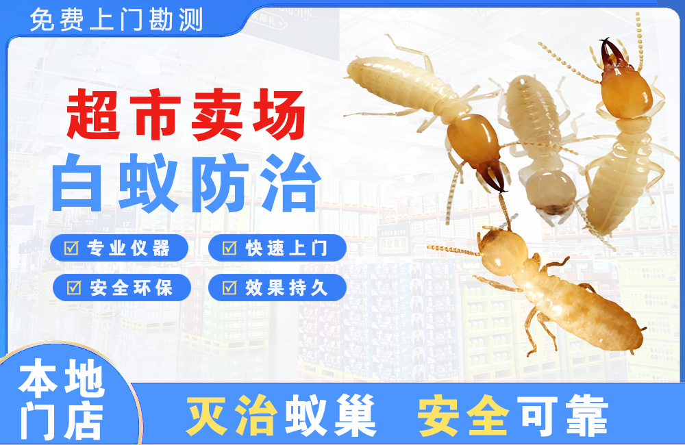 仪征超市卖场白蚁防治