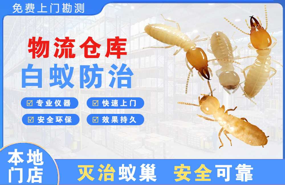 仪征物流仓库白蚁防治