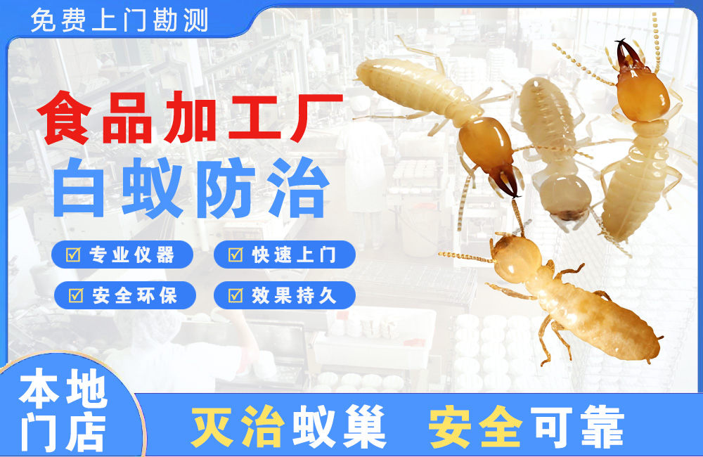 仪征食品加工厂白蚁防治