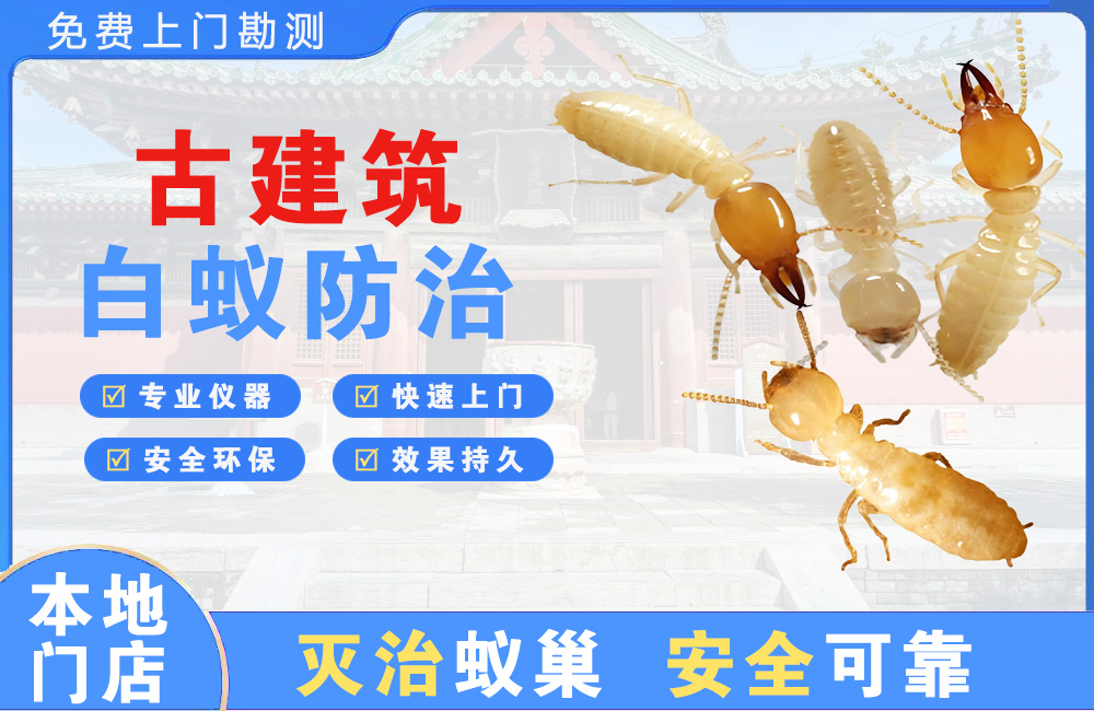 仪征古建筑白蚁防治