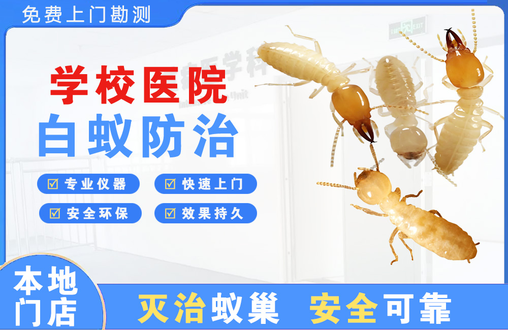 仪征学校医院白蚁防治