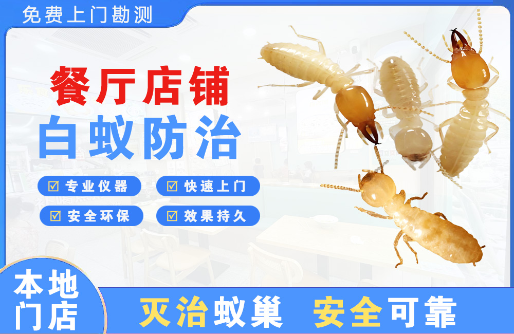 仪征餐厅店铺白蚁防治